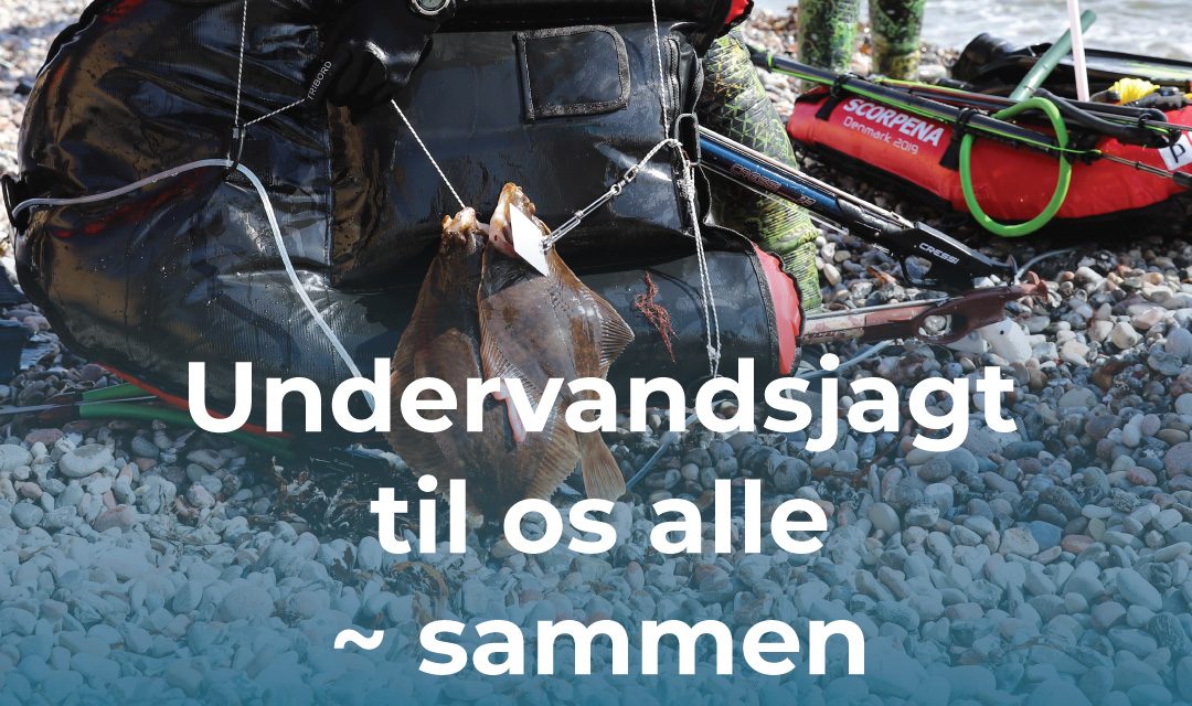 Undervandsjagt camp i juni måned for kvinder på Søgård Hovedgård, Langeland.